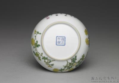 图片[3]-Dish with chrysanthemum in falangcai painted enamels, Qing dynasty, Yongzheng reign 1723-1735-China Archive